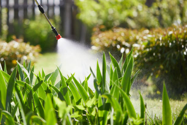 24/7 Emergency Termite Control experts in Mount Juliet, TN