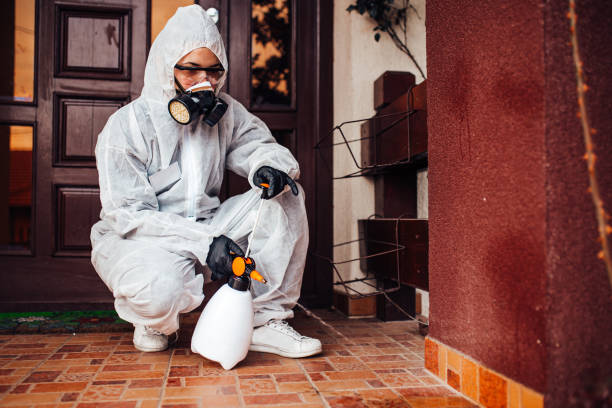 Reliable Termite Control contractor in Mount Juliet, TN by Nex Pest Control