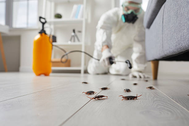 Trusted Cockroach Control service in Mount Juliet, TN - Nex Pest Control