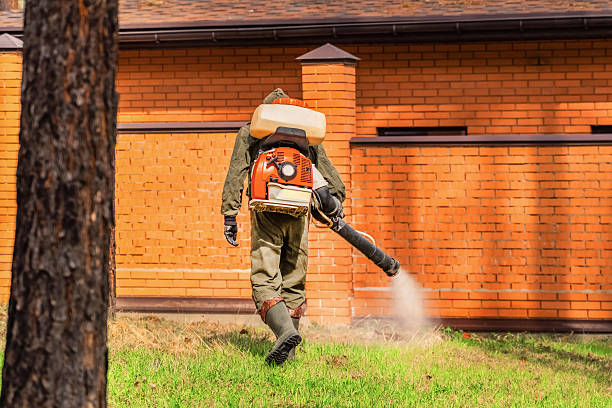 Trusted Bed Bug Control service in Mount Juliet, TN - Nex Pest Control
